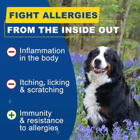 SHINEPAWS - SHINEPAWS Dog Allergy Relief Chews 120 Masticables - The Red Vitamin MX - Remedios Para La Picazón De Perros - {{ shop.shopifyCountryName }}