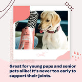 READY PET GO - Ready Pet Go! Hip and Joint Chews for Dogs 90 Masticables - The Red Vitamin MX - Cuidado De Cadera Y Articulaciones Para Perros - {{ shop.shopifyCountryName }}