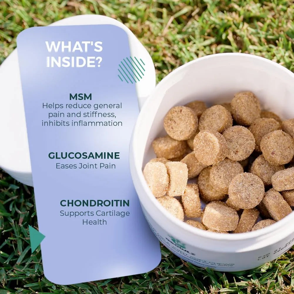 GROWIZ - Growlz Dog Hip and Joint Chew 90 Masticables - The Red Vitamin MX - Cuidado De Cadera Y Articulaciones Para Perros - {{ shop.shopifyCountryName }}