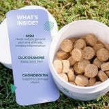 GROWIZ - Growlz Dog Hip and Joint Chew 90 Masticables - The Red Vitamin MX - Cuidado De Cadera Y Articulaciones Para Perros - {{ shop.shopifyCountryName }}