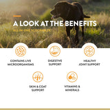 NATURVET - NaturVet Scoopables All-in-One Multivitamin for Dogs 45 Servicios 315Gr. - The Red Vitamin MX - Multivitamínicos Para Perros - {{ shop.shopifyCountryName }}