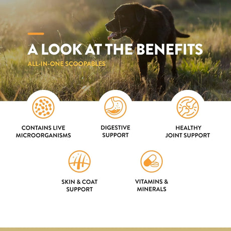NATURVET - NaturVet Scoopables All-in-One Multivitamin for Dogs 45 Servicios 315Gr. - The Red Vitamin MX - Multivitamínicos Para Perros - {{ shop.shopifyCountryName }}