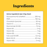 EMBARK - Embark Dog Multibenefit All-in-1 for Dogs 90 Masticables - The Red Vitamin MX - Multivitamínicos Para Perros - {{ shop.shopifyCountryName }}