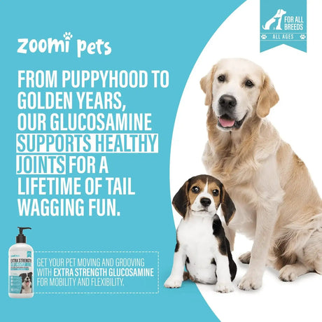 ZOOMI PETS - Zoomi Pets Liquid Glucosamine for Dogs 16 Fl.Oz. - The Red Vitamin MX - Cuidado De Cadera Y Articulaciones Para Perros - {{ shop.shopifyCountryName }}