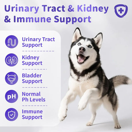 POPPAW - POPPAW Cranberry Supplement for Dog UTI Treatment Chicken 90 Masticables - The Red Vitamin MX - Salud De Tracto Urinario Para Perros - {{ shop.shopifyCountryName }}