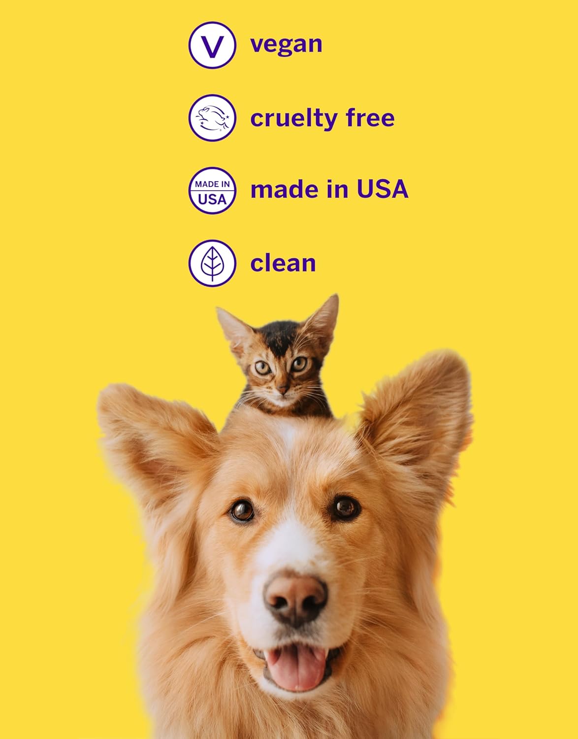 Petsmile Professional Pet Teeth Brushing Kit for Cats & Dogs London Broil 2.5 Oz