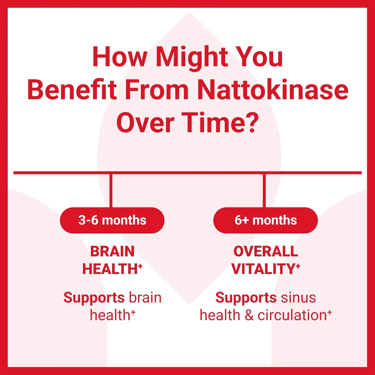 LUMA NUTRITION - Luma Nutrition Nattokinase 4000 FU 60 Capsulas - The Red Vitamin MX - Suplementos Alimenticios - {{ shop.shopifyCountryName }}