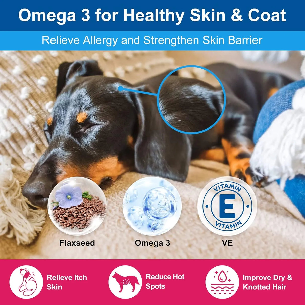 NATURE TARGET - NATURE TARGET Dog Vitamins Powder 90 Servicios 360Gr. - The Red Vitamin MX - Multivitamínicos Para Perros - {{ shop.shopifyCountryName }}