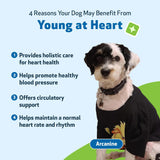Pet Wellbeing Young at Heart for Dogs 2 Fl.Oz.