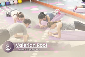 PURE ORIGINAL INGREDIENTS - Pure Original Ingredients Valerian Root 100 Capsulas - The Red Vitamin MX - Suplementos Alimenticios - {{ shop.shopifyCountryName }}