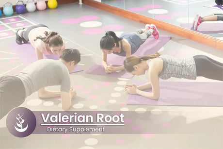 PURE ORIGINAL INGREDIENTS - Pure Original Ingredients Valerian Root 100 Capsulas - The Red Vitamin MX - Suplementos Alimenticios - {{ shop.shopifyCountryName }}