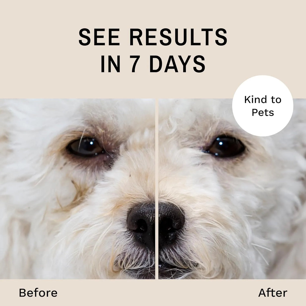 EYE ENVY - Eye Envy Dog Tear Stain Remover Starter Kit with ProPowder Brush - The Red Vitamin MX - Cuidado De Los Ojos De Los Perros - {{ shop.shopifyCountryName }}