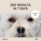 EYE ENVY - Eye Envy Dog Tear Stain Remover Starter Kit with ProPowder Brush - The Red Vitamin MX - Cuidado De Los Ojos De Los Perros - {{ shop.shopifyCountryName }}