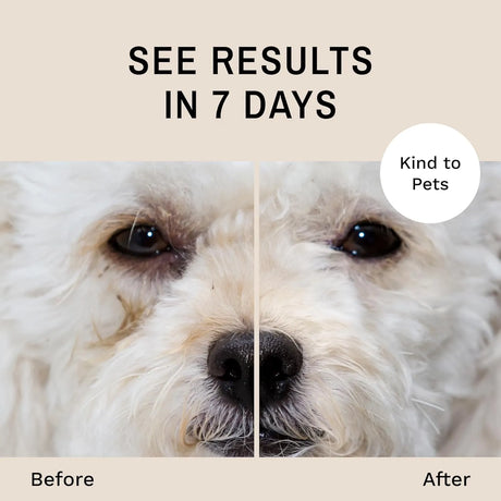 EYE ENVY - Eye Envy Dog Tear Stain Remover Starter Kit with ProPowder Brush - The Red Vitamin MX - Cuidado De Los Ojos De Los Perros - {{ shop.shopifyCountryName }}