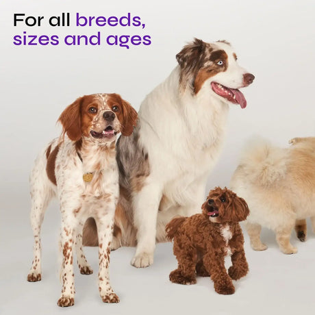 VETRICA - Vetrica Bladder Control Dog UTI Treatment 130 Masticables - The Red Vitamin MX - Salud De Tracto Urinario Para Perros - {{ shop.shopifyCountryName }}