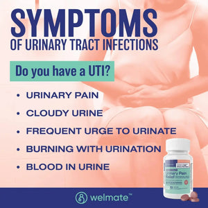 WELMATE - WELMATE Urinary Pain Relief 72 Capsulas - The Red Vitamin MX - Suplementos Alimenticios - {{ shop.shopifyCountryName }}