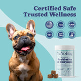 YoYoBay Probiotics and Digestive Enzymes for Dogs 60 Masticables