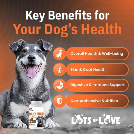 LOTS OF LOVE - LOTS OF LOVE Dog Multivitamin Chewable 60 Masticables - The Red Vitamin MX - Multivitamínicos Para Perros - {{ shop.shopifyCountryName }}