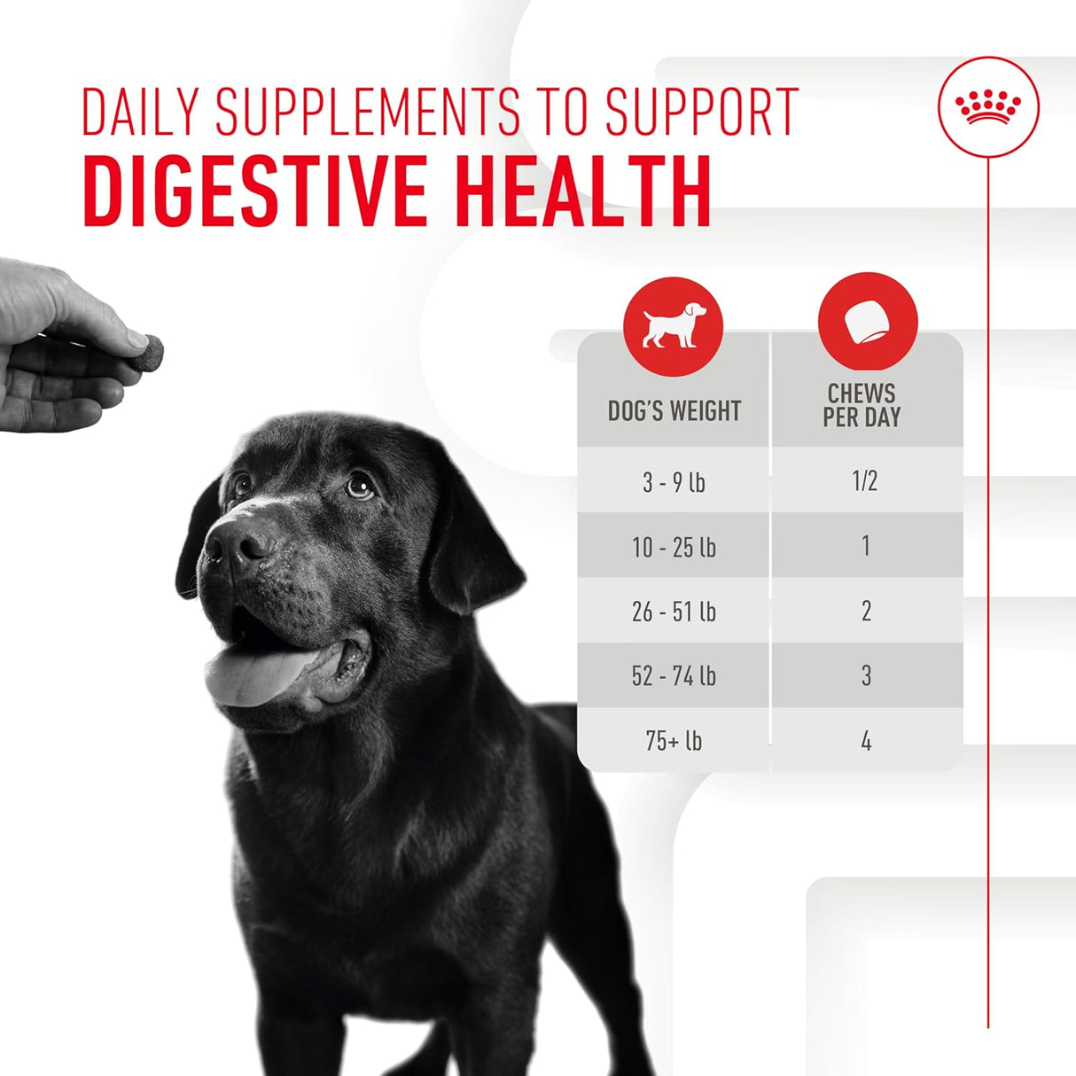 Royal Canin Digestive Supplement Soft Chews for Adult Dogs 60 Masticables
