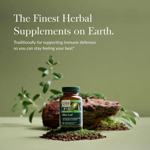 GAIA HERBS - Gaia Herbs Olive Leaf 120 Capsulas - The Red Vitamin MX - Suplementos Alimenticios - {{ shop.shopifyCountryName }}