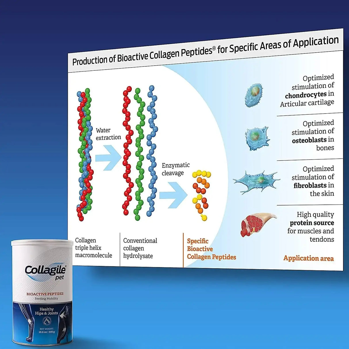 COLLAGILE - COLLAGILE pet Dog Hip & Joint Care Effective Powder 300Gr. - The Red Vitamin MX - Cuidado De Cadera Y Articulaciones Para Perros - {{ shop.shopifyCountryName }}