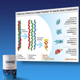 COLLAGILE - COLLAGILE pet Dog Hip & Joint Care Effective Powder 300Gr. - The Red Vitamin MX - Cuidado De Cadera Y Articulaciones Para Perros - {{ shop.shopifyCountryName }}