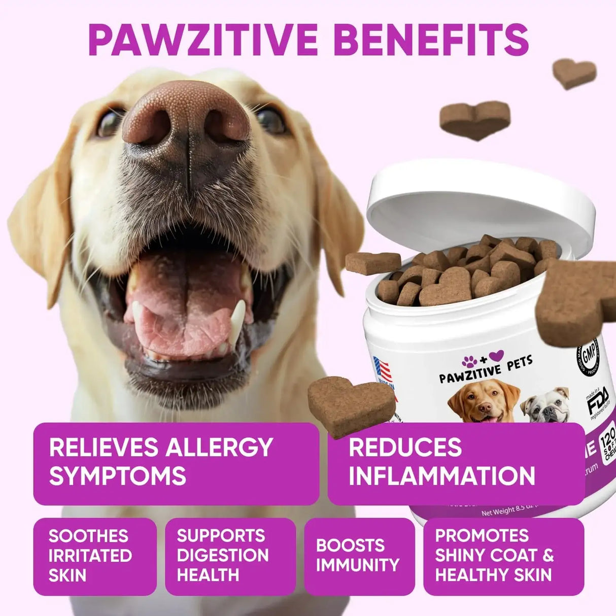 PAWZITIVE PETS - Pawzitive Pets Dog Allergy Relief Chews for Itchy Skin 120 Masticables - The Red Vitamin MX - Remedios Para La Picazón De Perros - {{ shop.shopifyCountryName }}
