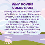 Zenapet Cat Colostrum Plus Superfood Supplement 84Gr.