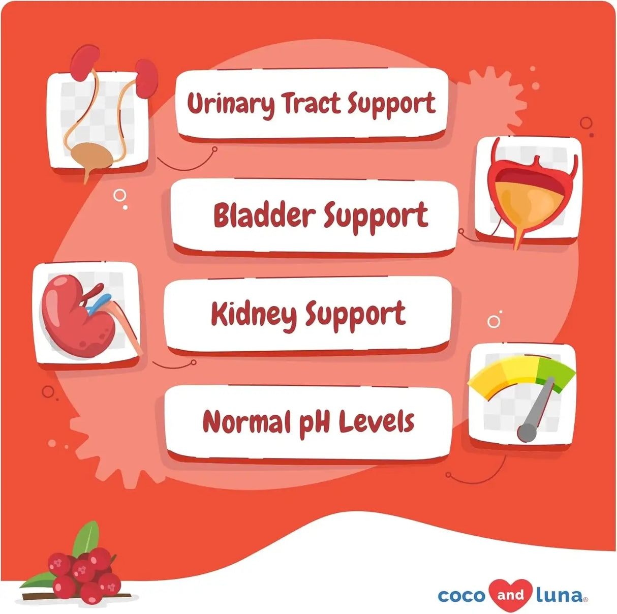 COCO AND LUNA - Coco and Luna Cranberry for Dogs Urinary Tract Support 90 Masticables - The Red Vitamin MX - Salud De Tracto Urinario Para Perros - {{ shop.shopifyCountryName }}