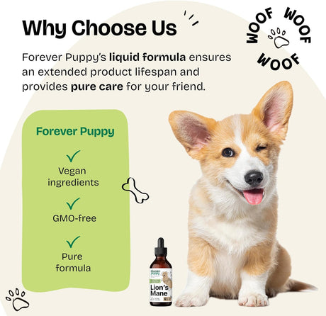 FOREVER PUPPY - Forever Puppy Lion's Mane Mushroom Supplement for Dogs 4 Fl.Oz. - The Red Vitamin MX - Suplementos Herbales Para Perros - {{ shop.shopifyCountryName }}