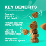 CHEWIA - CHEWIA Probiotics for Dogs 70 Masticables - The Red Vitamin MX - Probióticos Para Perros - {{ shop.shopifyCountryName }}