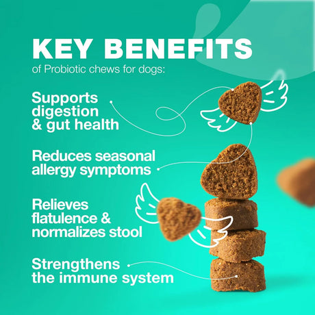 CHEWIA - CHEWIA Probiotics for Dogs 70 Masticables - The Red Vitamin MX - Probióticos Para Perros - {{ shop.shopifyCountryName }}