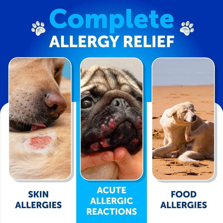 ARTULLANO - Artullano Dog Allergy Relief Chews Duck 120 Masticables - The Red Vitamin MX - Remedios Para La Picazón De Perros - {{ shop.shopifyCountryName }}