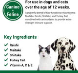 VET CLASSICS - Vet Classics CAS Options Extra Strength Immune Support for Dogs 120 Tabletas Masticables - The Red Vitamin MX - Suplementos Herbales Para Perros - {{ shop.shopifyCountryName }}
