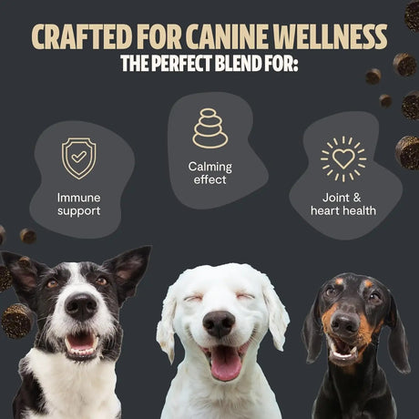 FRESHCAP - FreshCap Mushrooms Shroomies 13 in 1 Turkey Tail Mushroom for Dogs 180 Masticables - The Red Vitamin MX - Suplementos Herbales Para Perros - {{ shop.shopifyCountryName }}