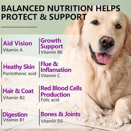 OIMMAL - OIMMAL 15 in 1 Dog Vitamins 150 Masticables - The Red Vitamin MX - Multivitamínicos Para Perros - {{ shop.shopifyCountryName }}