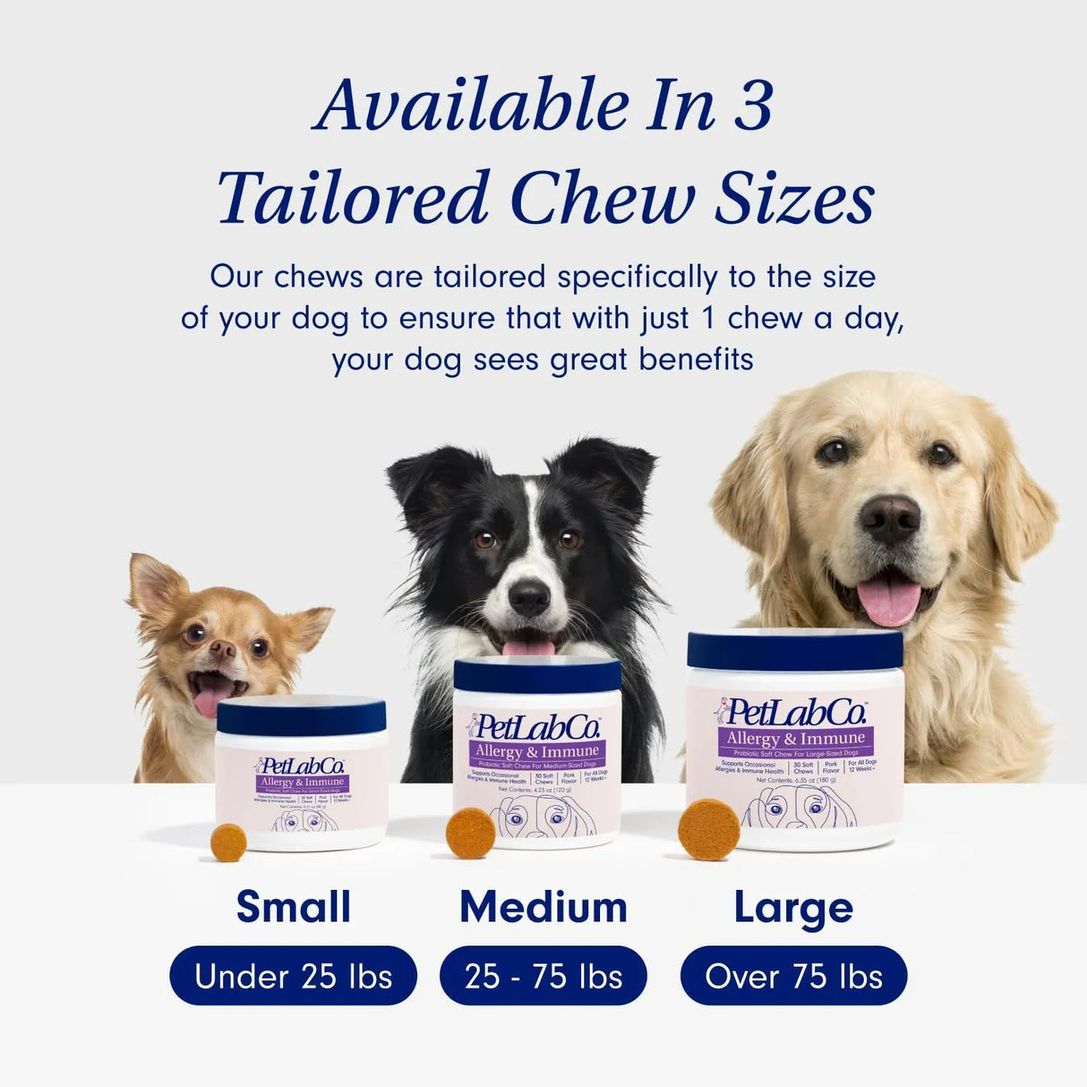 PETLAB CO. - PetLab Co. Allergy & Immune Daily Probiotics Large Size Dogs 30 Masticables - The Red Vitamin MX - Probióticos Para Perros - {{ shop.shopifyCountryName }}
