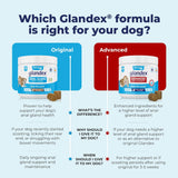 Vetnique Labs Glandex Anal Gland Soft Chew Treats with Pumpkin Pork Liver 60 Masticables