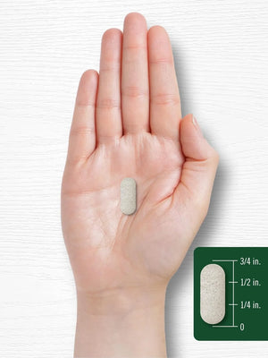 CARLYLE - Carlyle Wheat Grass 500 Tabletas - The Red Vitamin MX - Suplementos Alimenticios - {{ shop.shopifyCountryName }}