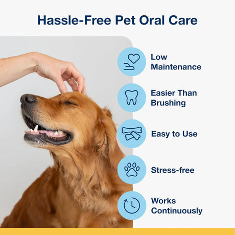 PRODEN - Proden PlaqueOff Sytem Mini Dental Care Bones for Dogs 20 Piezas - The Red Vitamin MX - Cuidado Dental Para Perros - {{ shop.shopifyCountryName }}