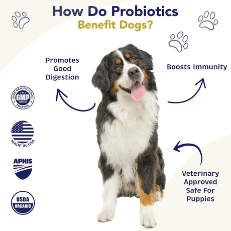 WNZ HEALTH - WNz Health Probiotics for Dogs Digestive Health Chicken & Bacon 180 Servicios - The Red Vitamin MX - Probióticos Para Perros - {{ shop.shopifyCountryName }}