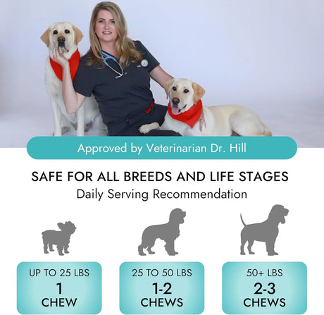 PET VET - Pet Vet Multi Soft Chews for Dogs Beef Liver 60 Masticables - The Red Vitamin MX - Multivitamínicos Para Perros - {{ shop.shopifyCountryName }}