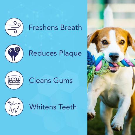 NOVEHA - NOVEHA Pets Dental Finger Wipes for Dogs & Cats Flavor-Free 50 Toallitas 2 Pack - The Red Vitamin MX - Cuidado Dental Para Perros - {{ shop.shopifyCountryName }}