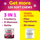 ARTULLANO - Artullano Dog UTI Treatment 120 Masticables - The Red Vitamin MX - Salud De Tracto Urinario Para Perros - {{ shop.shopifyCountryName }}