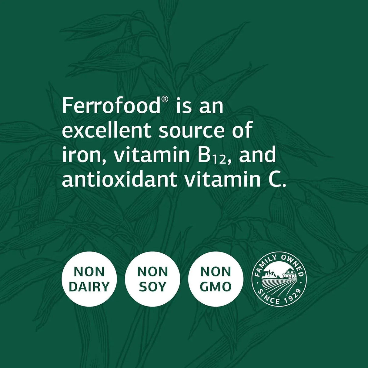 STANDARD PROCESS - Standard Process Ferrofood Healthy Blood 150 Capsulas - The Red Vitamin MX - Suplementos Alimenticios - {{ shop.shopifyCountryName }}