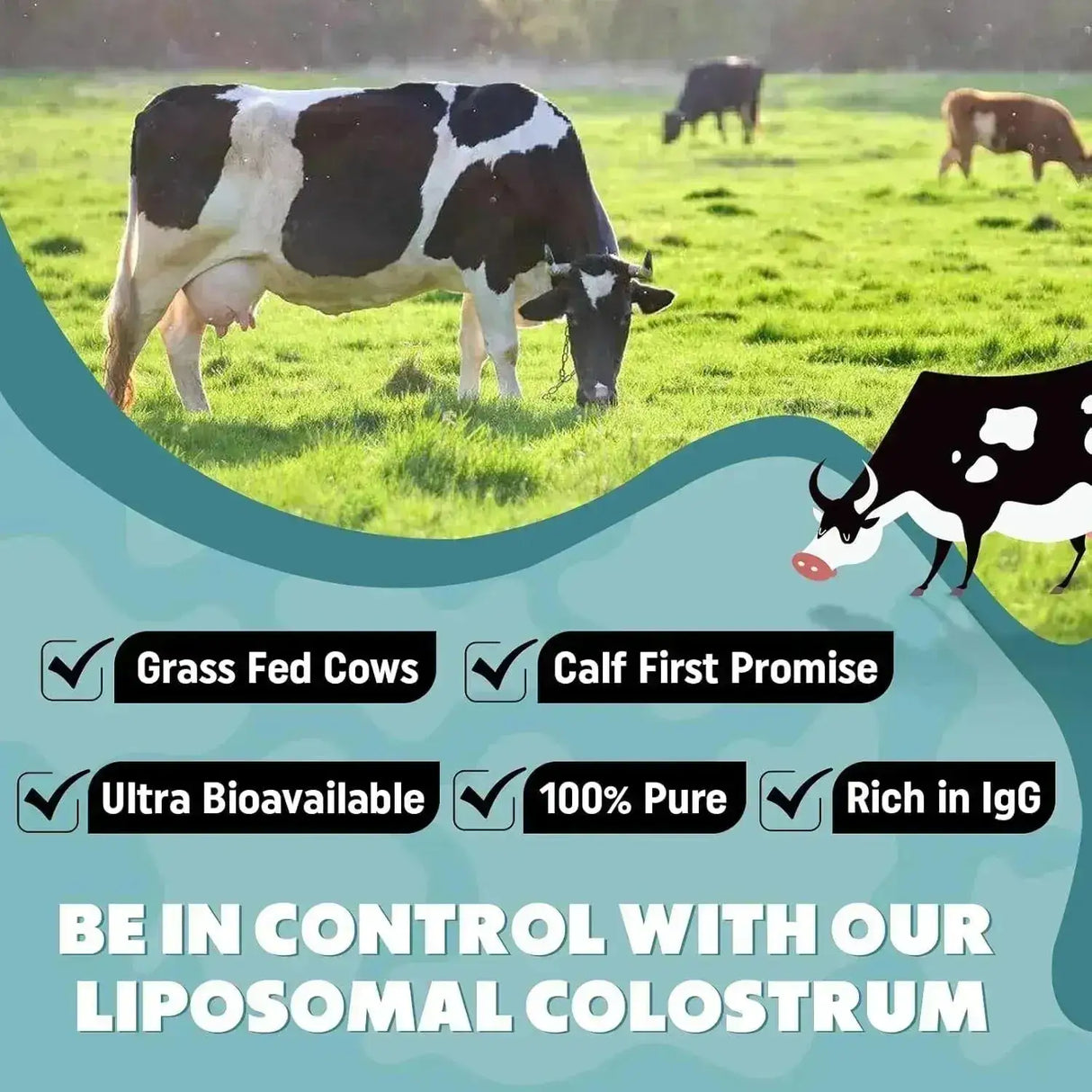 MARAFIKI - Marafiki Liposomal Bovine Colostrum 2500Mg. 60 Servicios - The Red Vitamin MX - Suplementos Alimenticios - {{ shop.shopifyCountryName }}