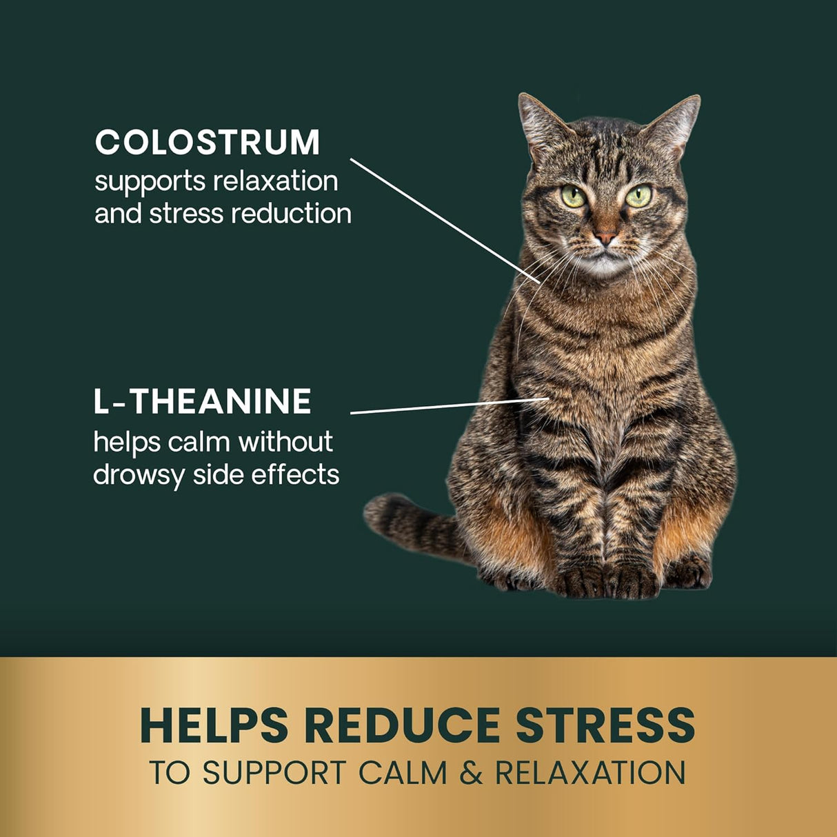 VetriScience Composure Calming Formula for Cats Chicken 30 Masticables