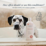 VETERINARY FORMULA - Veterinary Formula Clinical Care Hot Spot & Itch Relief Cat & Dog Medicated Conditioner 16 Fl.Oz. - The Red Vitamin MX - Remedios Para La Picazón De Perros - {{ shop.shopifyCountryName }}