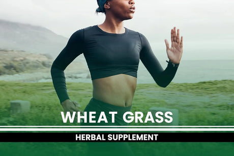 PURE ORIGINAL INGREDIENTS - Pure Original Ingredients Wheat Grass 365 Capsulas - The Red Vitamin MX - Suplementos Alimenticios - {{ shop.shopifyCountryName }}