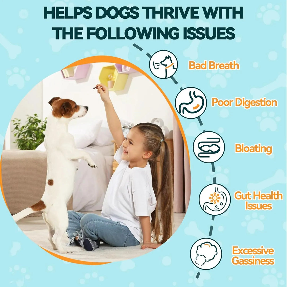 CARMELIE - Carmelie Probiotics for Dogs 200 Masticables - The Red Vitamin MX - Probióticos Para Perros - {{ shop.shopifyCountryName }}